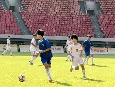 平博APP-激烈的足球比赛怎么写