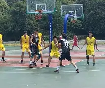 平博下载-一级方程式疾速争胜第一季